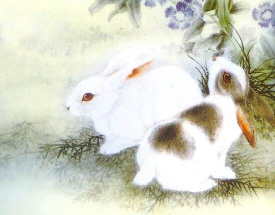 
兔子是十二生肖最温顺、最漂亮、第六感觉的属相